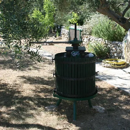 House With A Parking Space - 6770 Semesterbostad Makarska